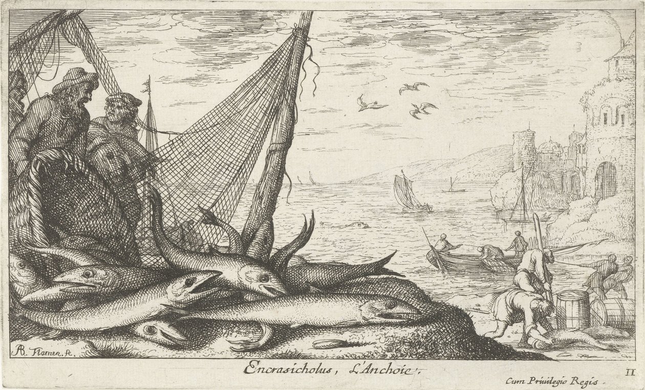 Sardellen bei einem Korb und Fischernetz (Vissen en andere zeedieren - zoutwater derde reeks, Poissons de mer) von Albert Flamen