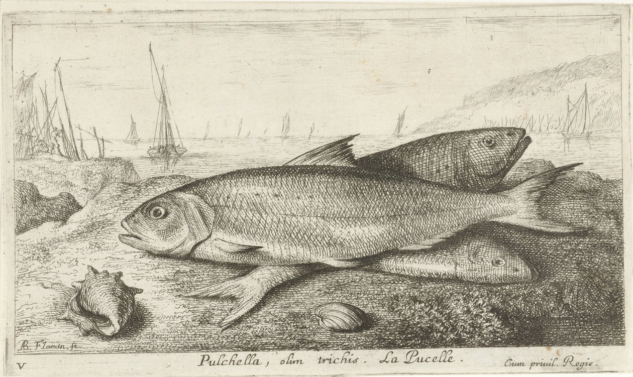 Drei Fische am Strand von Albert Flamen