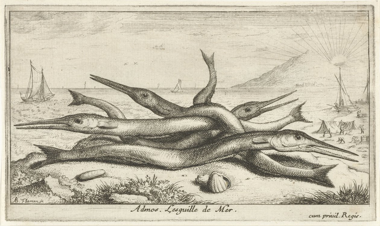 Fische am Strand von Albert Flamen