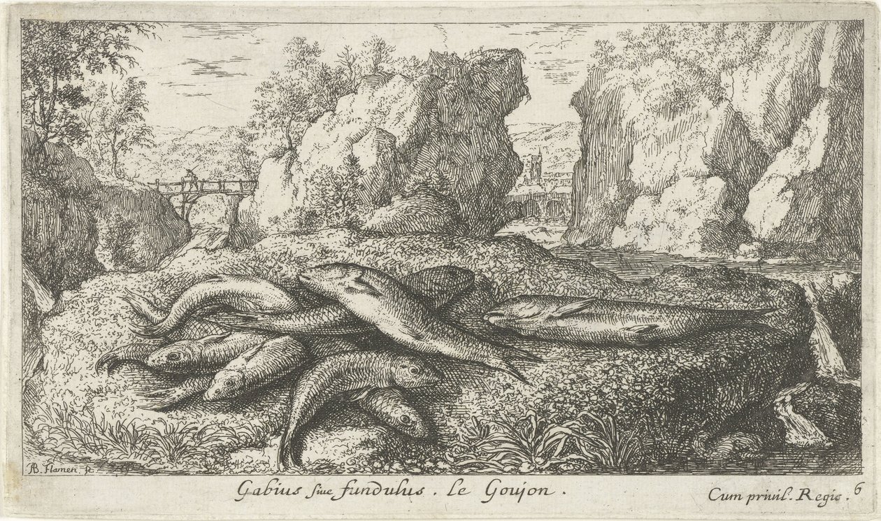 Gründlinge am Flussufer von Albert Flamen