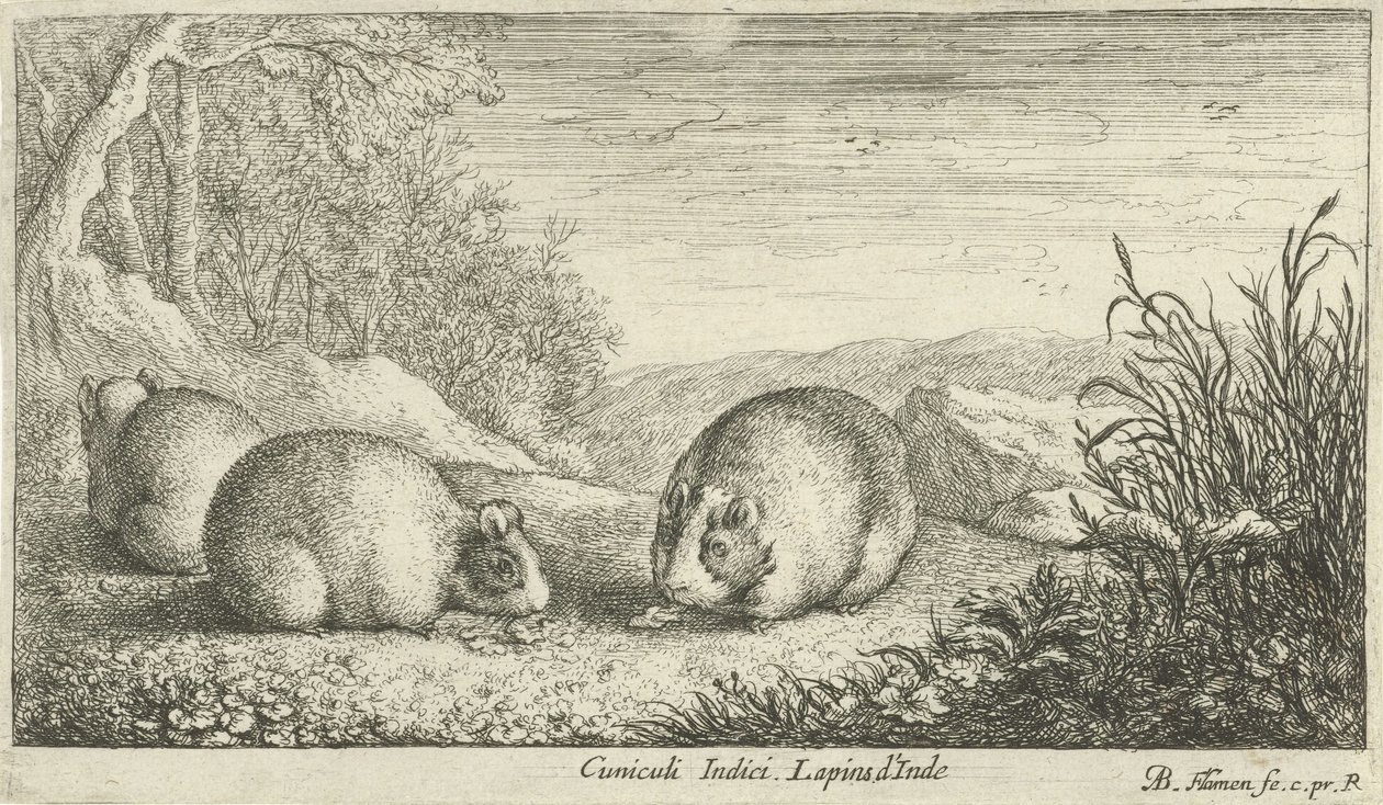 Nagetiere von Albert Flamen