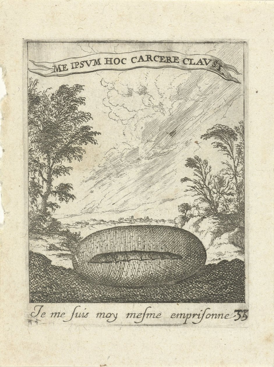 Landschaft mit Kokon von Albert Flamen