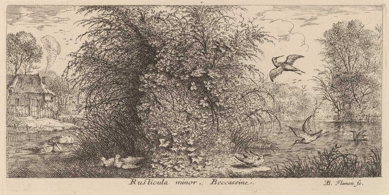 Rusticula minor, die Schnepfe von Albert Flamen