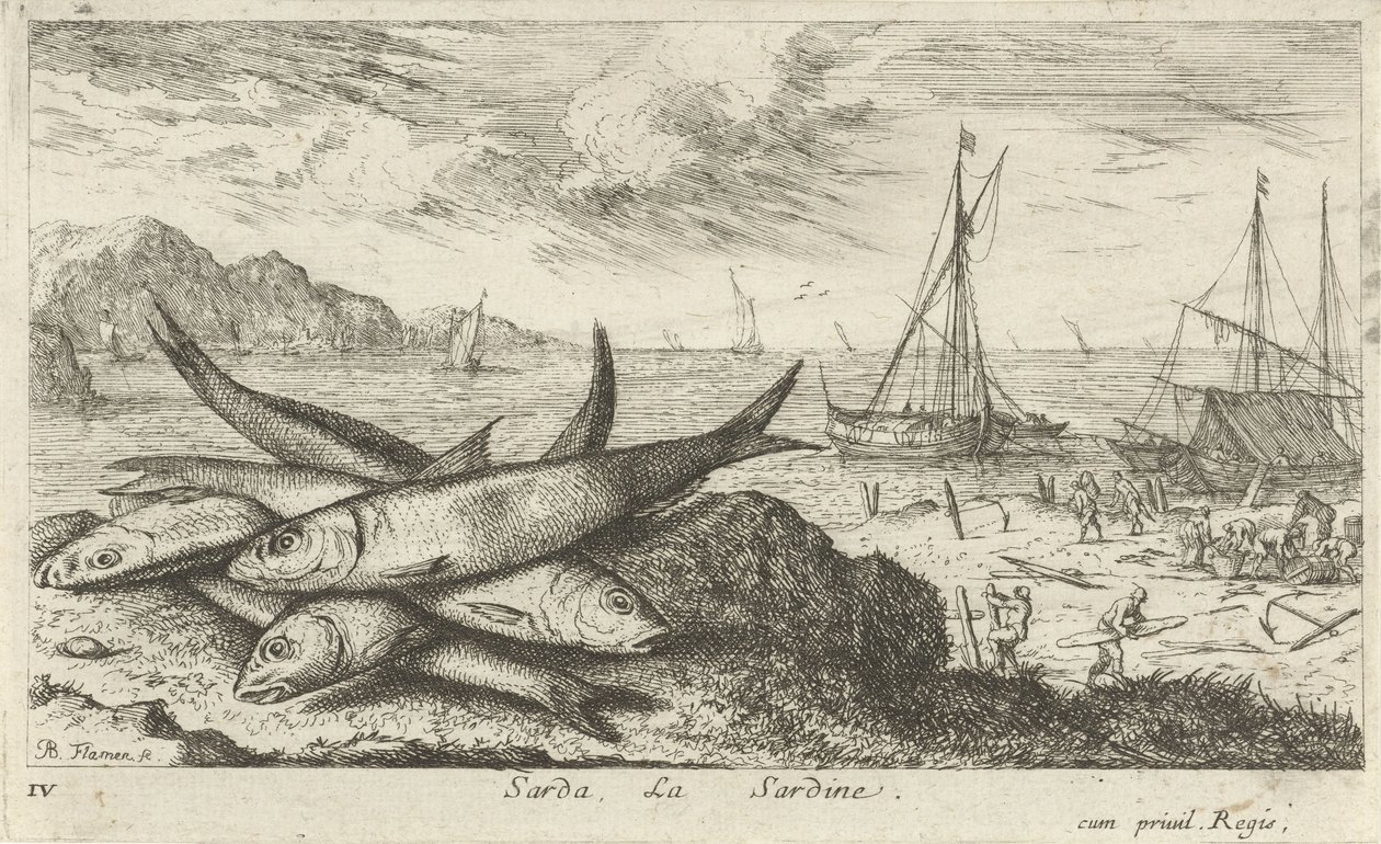 Sardinen am Strand von Albert Flamen