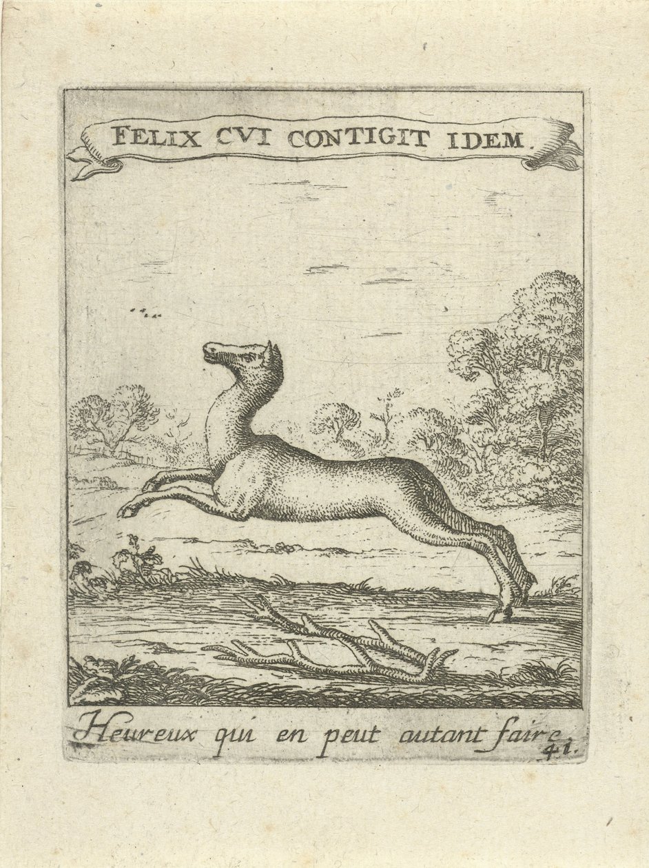 Springendes Reh von Albert Flamen