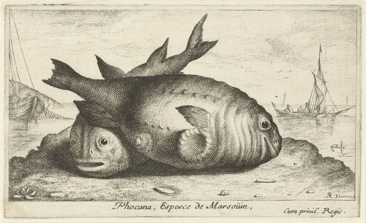 Zwei Schweinswale am Strand von Albert Flamen
