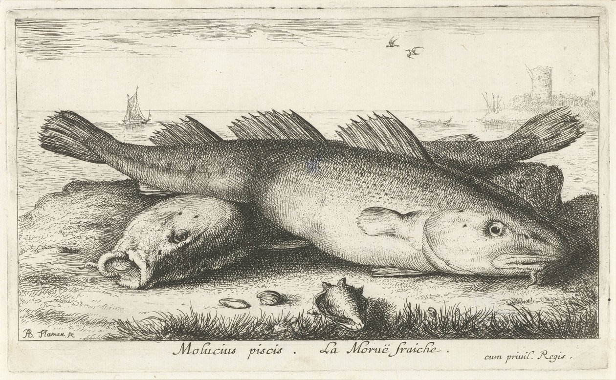 Zwei Kabeljaue am Strand von Albert Flamen