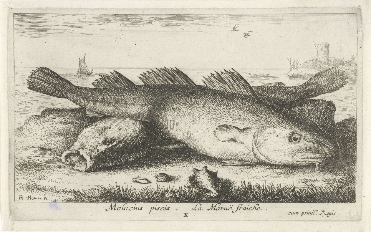Zwei Kabeljaue am Strand von Albert Flamen
