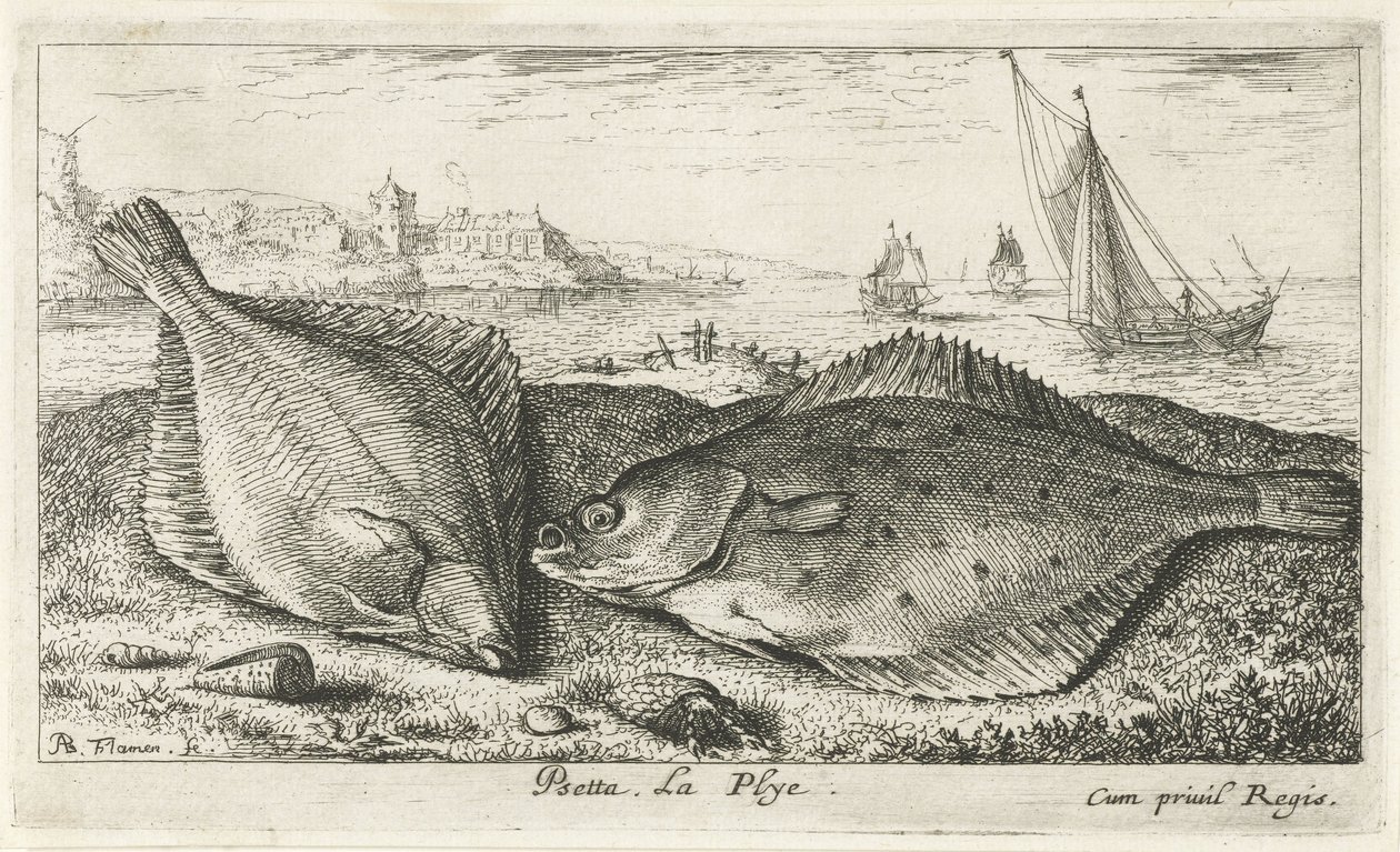 Zwei Plattfische am Strand von Albert Flamen