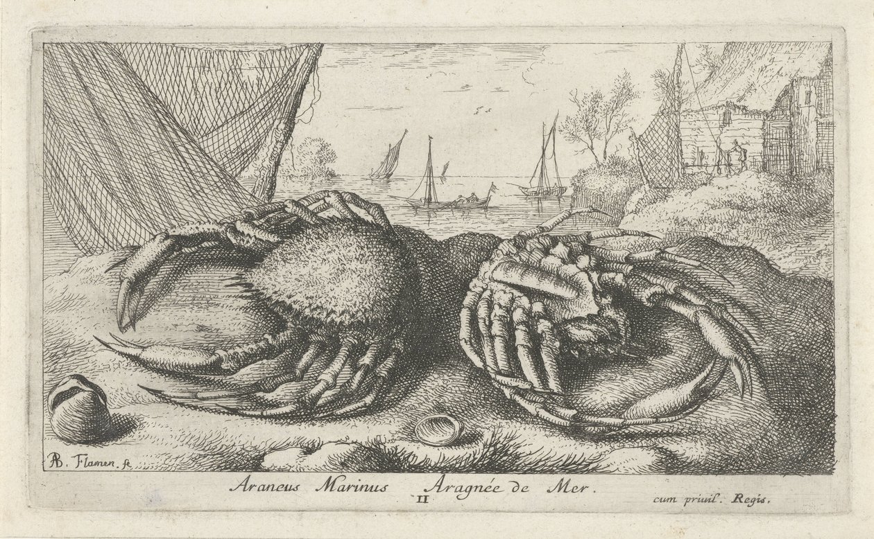 Zwei Spinnenkrabben bei einem Fischernetz von Albert Flamen