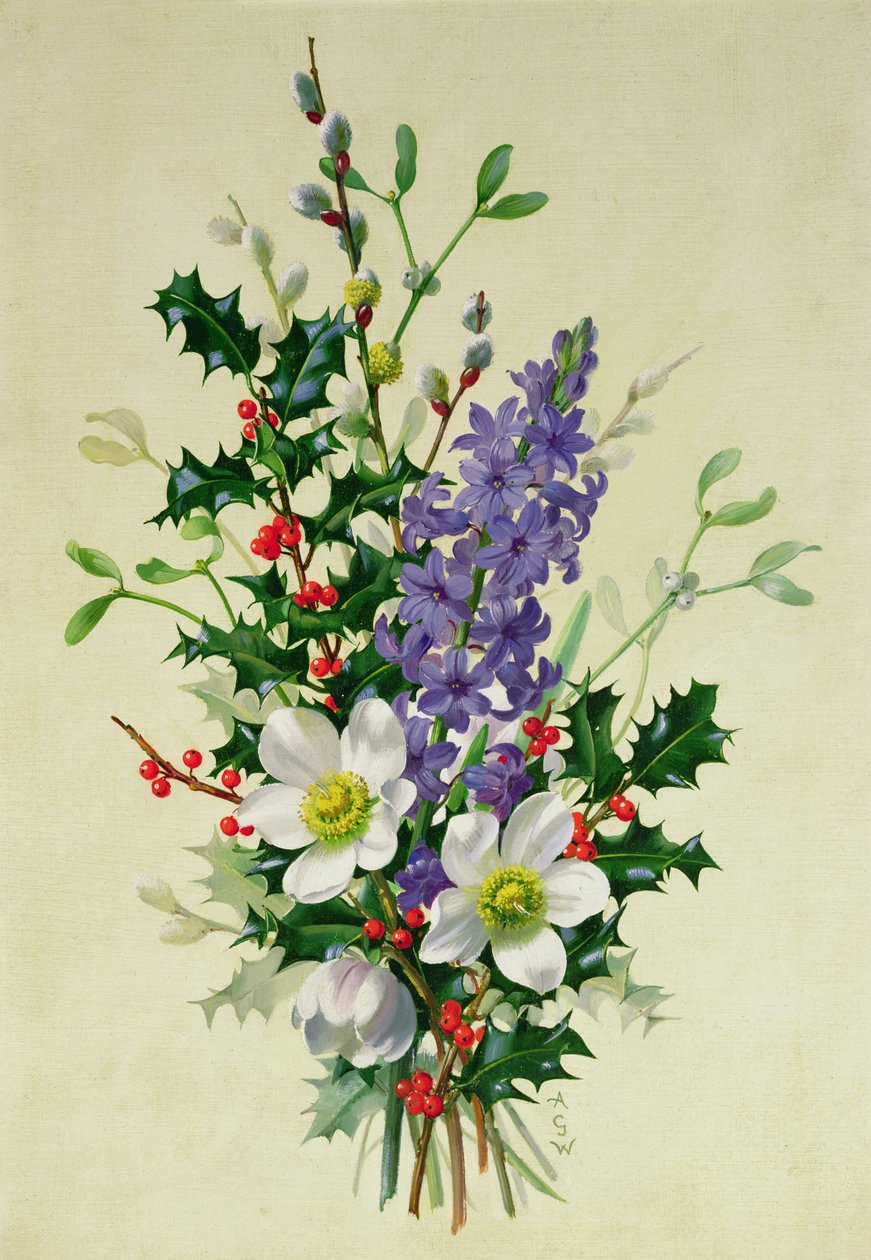 Zweig von Hundsrose, Stechpalme, Mistel und Rittersporn (1) von Albert Williams
