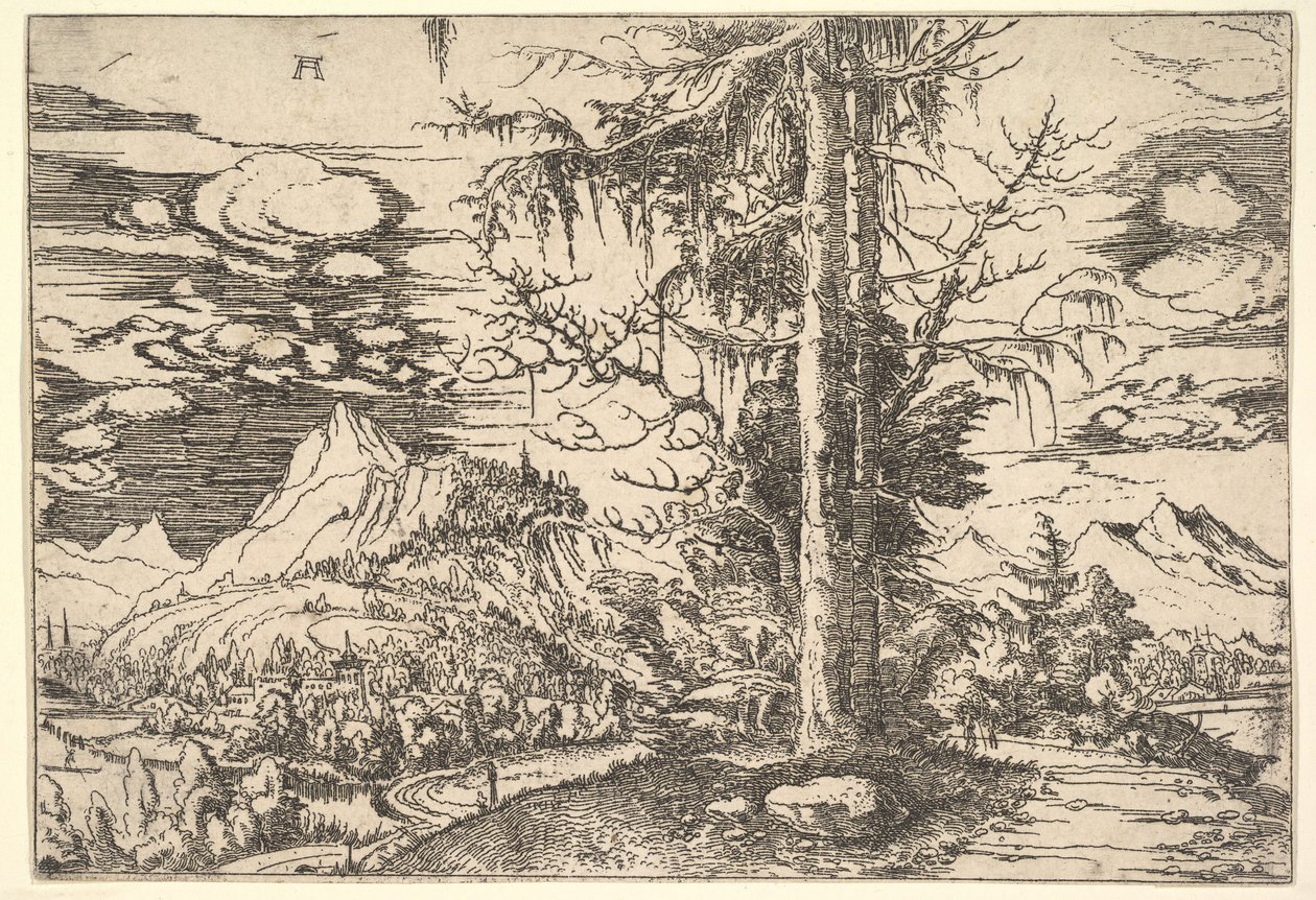 Landschaft mit einer doppelten Fichte von Albrecht Altdorfer