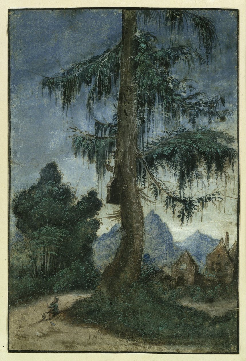Landschaft mit Fichte von Albrecht Altdorfer