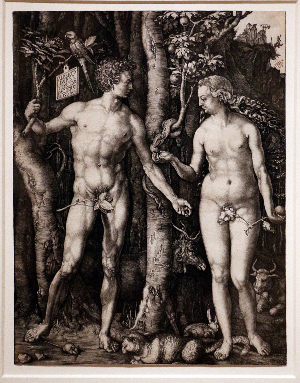 Adam und Eva von Albrecht Dürer