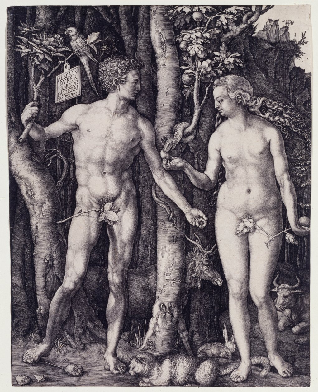 Adam und Eva von Albrecht Dürer