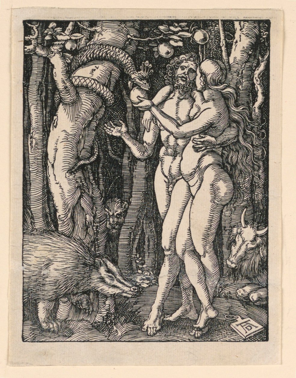 Adam und Eva, aus der Serie „Die kleine Passion“ von Albrecht Dürer