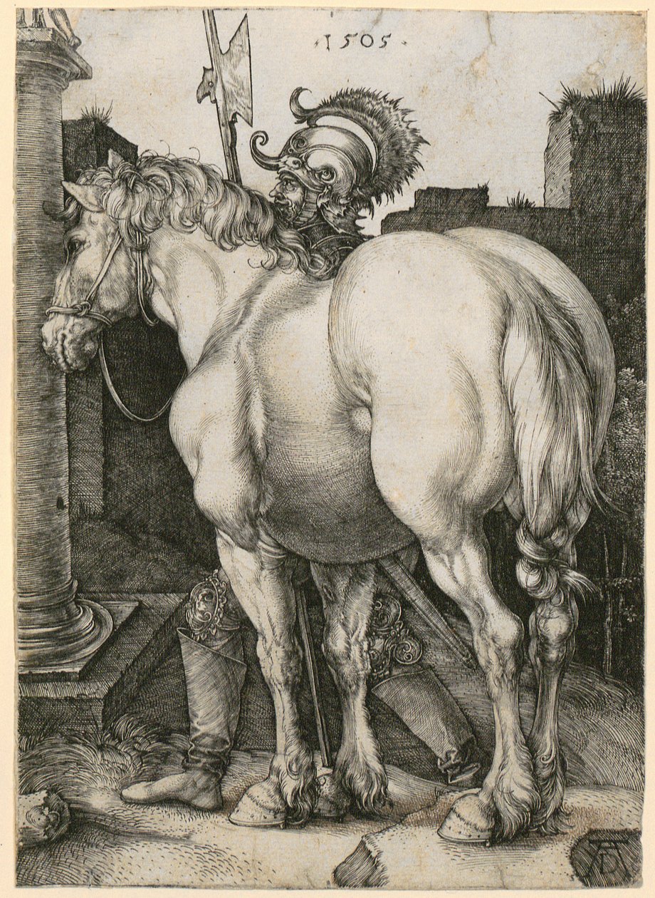 Großes Pferd von Albrecht Dürer