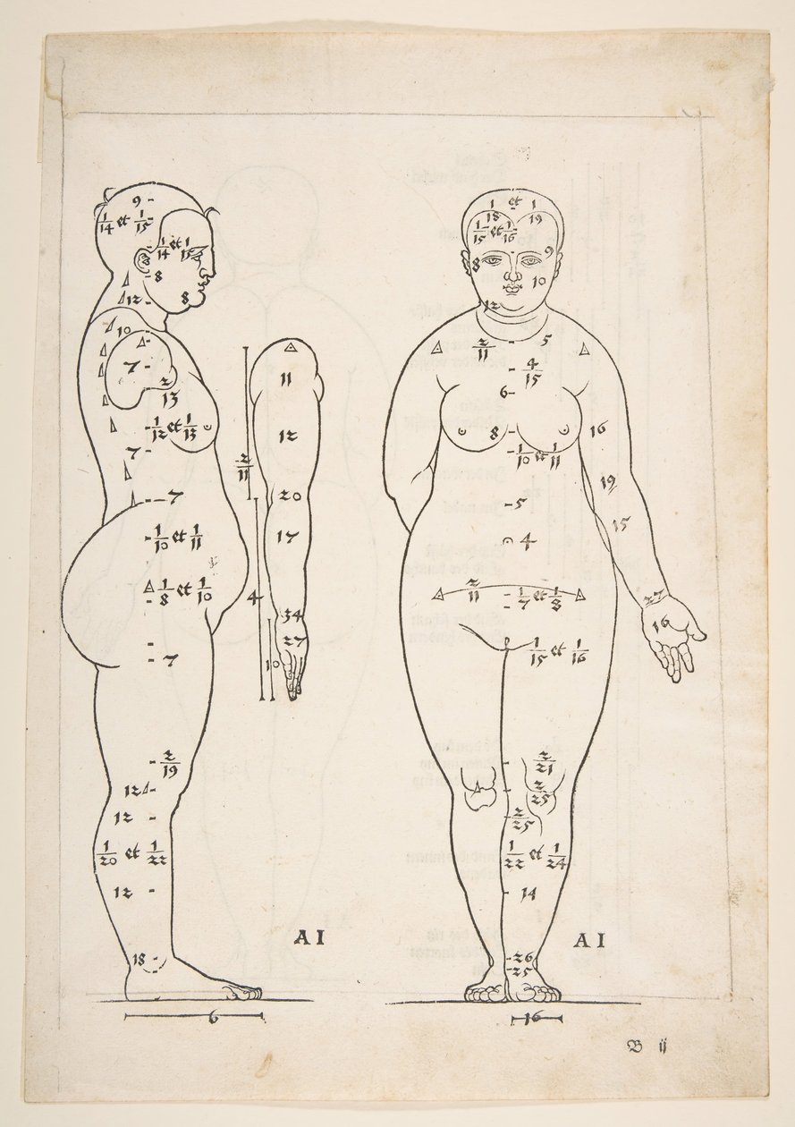 Illustration aus Dürers Vier Bücher von menschlicher Proportion, Nürnberg, 1528 von Albrecht Dürer