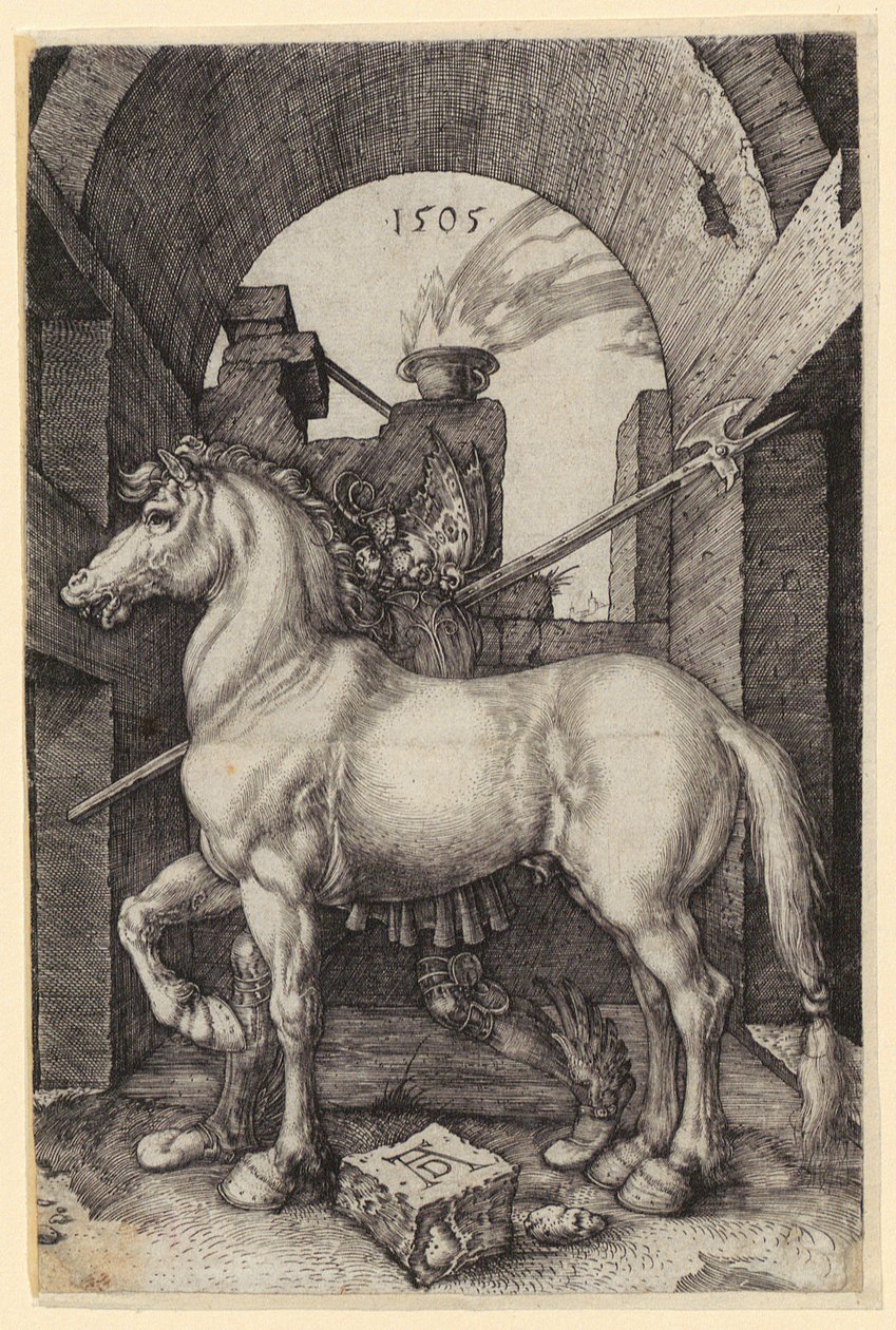Kleines Pferd von Albrecht Dürer