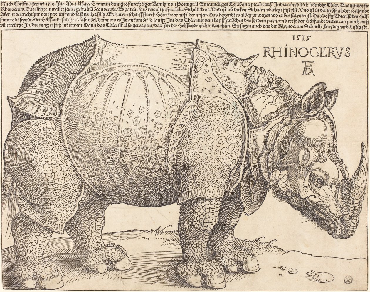 Das Nashorn von Albrecht Dürer
