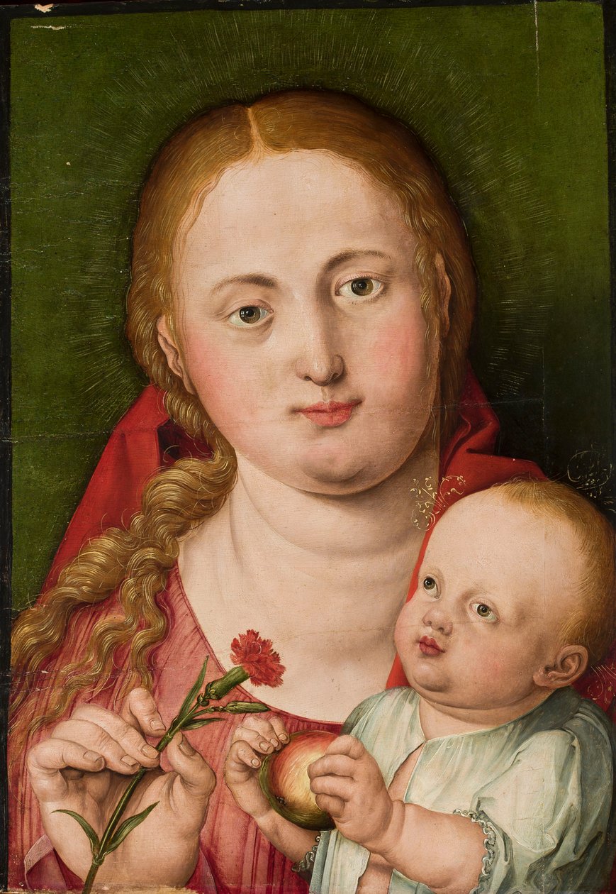 Madonna mit Kind und Nelke von Albrecht Dürer