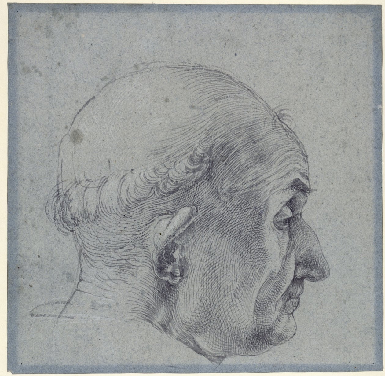 Männlicher Kopf im Profil von Albrecht Dürer