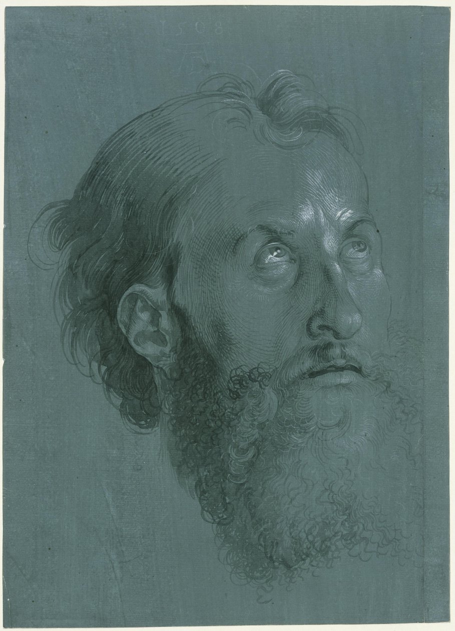 Nach rechts gewandter Kopf eines Apostels von Albrecht Dürer