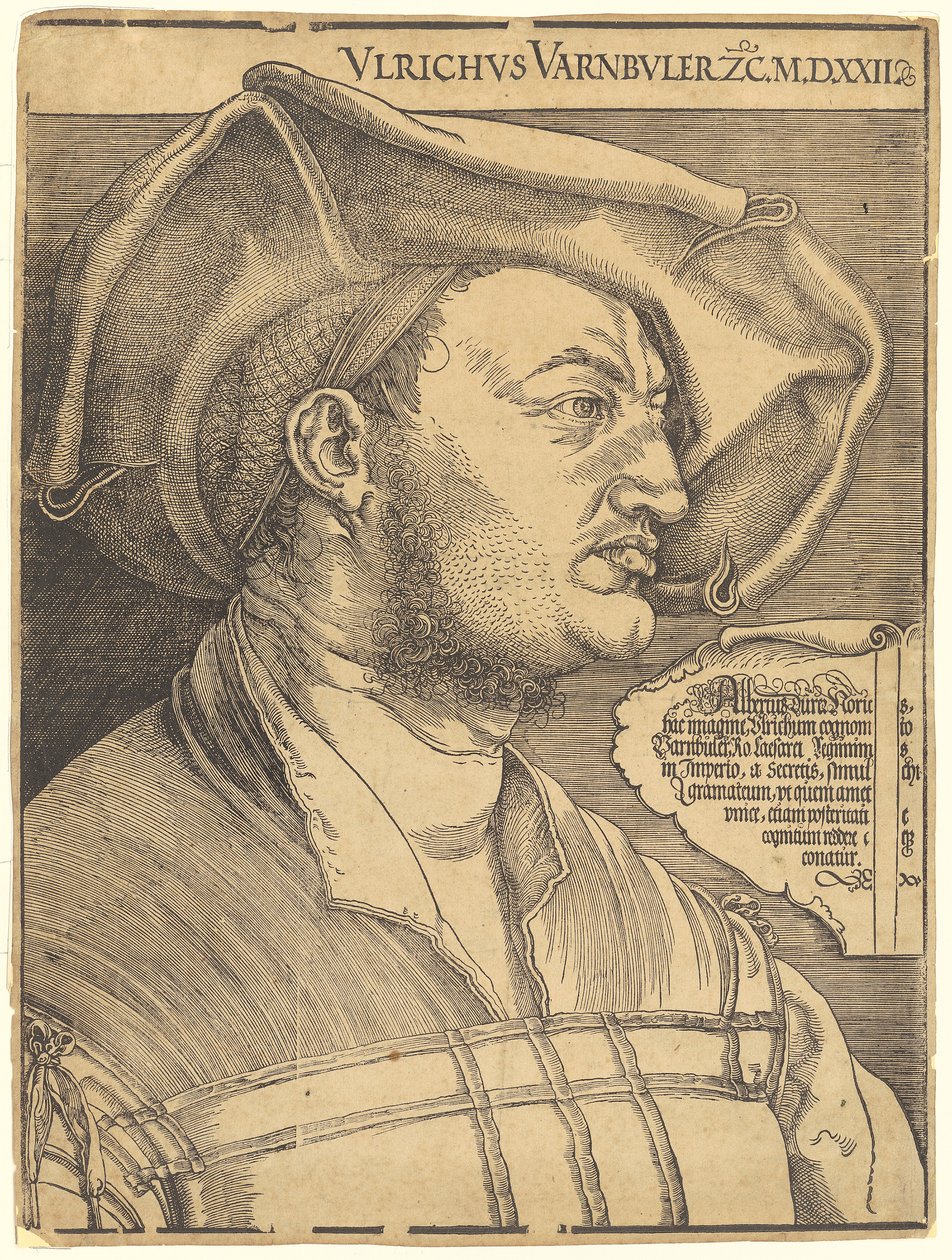 Porträt von Ulrich Varnbüler von Albrecht Dürer