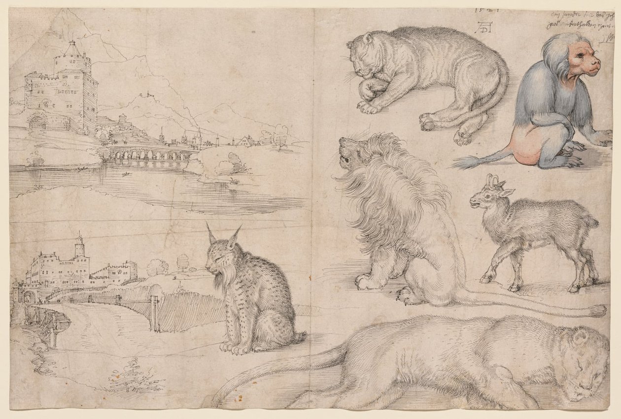 Skizzen von Tieren und Landschaften von Albrecht Dürer