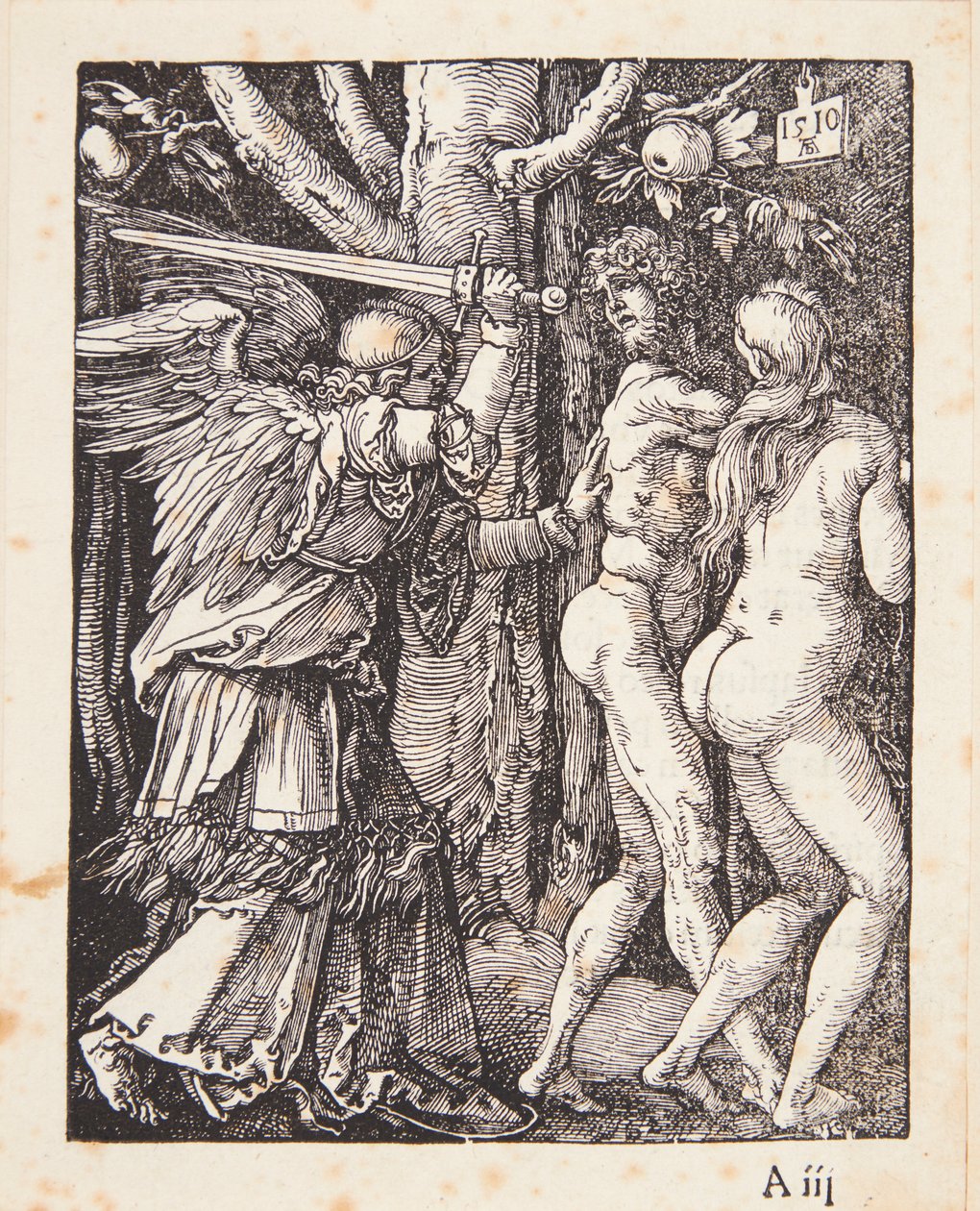 Die Vertreibung aus dem Paradies von Albrecht Dürer