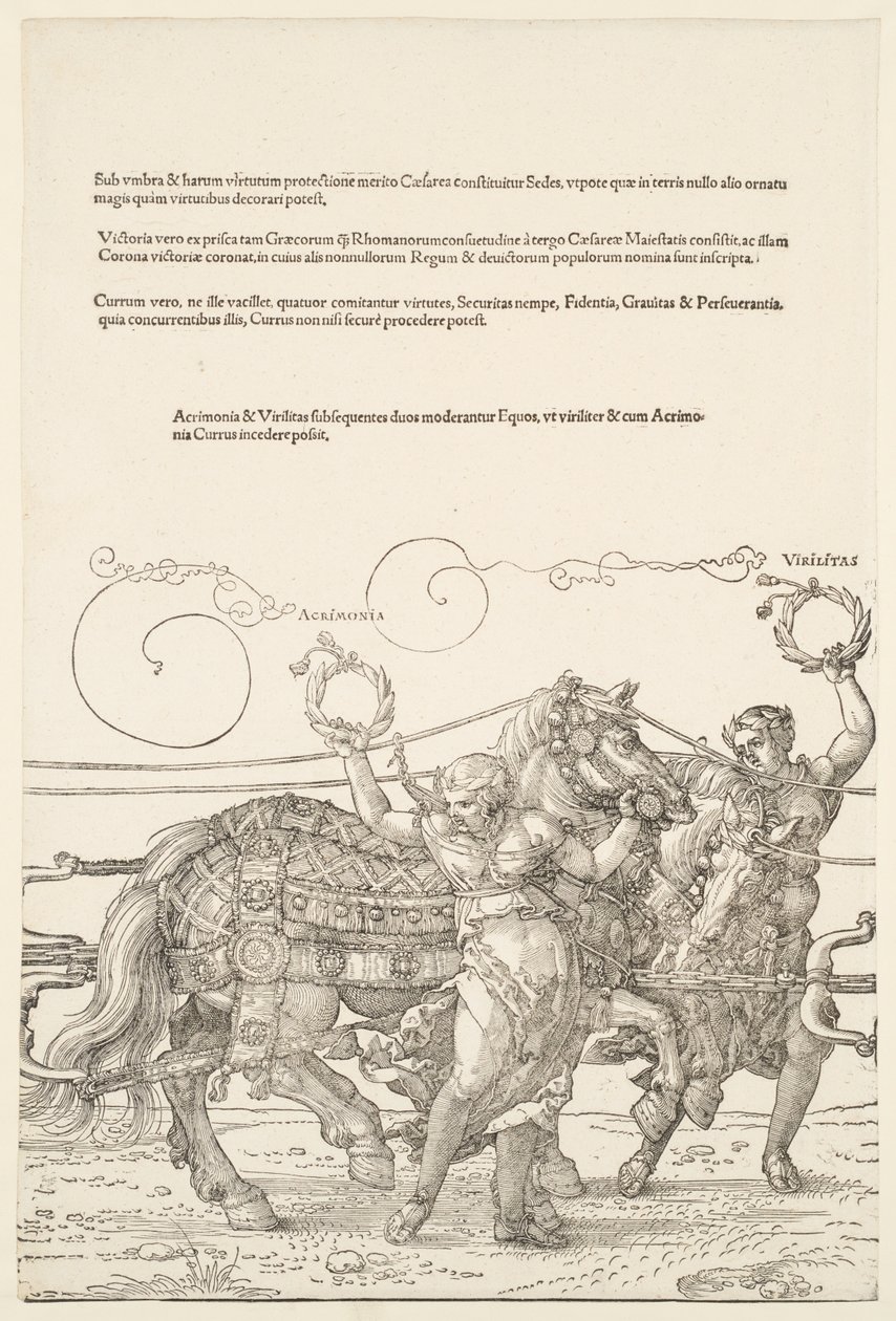 Der große Triumphwagen: Acrimonia und Virilitas von Albrecht Dürer