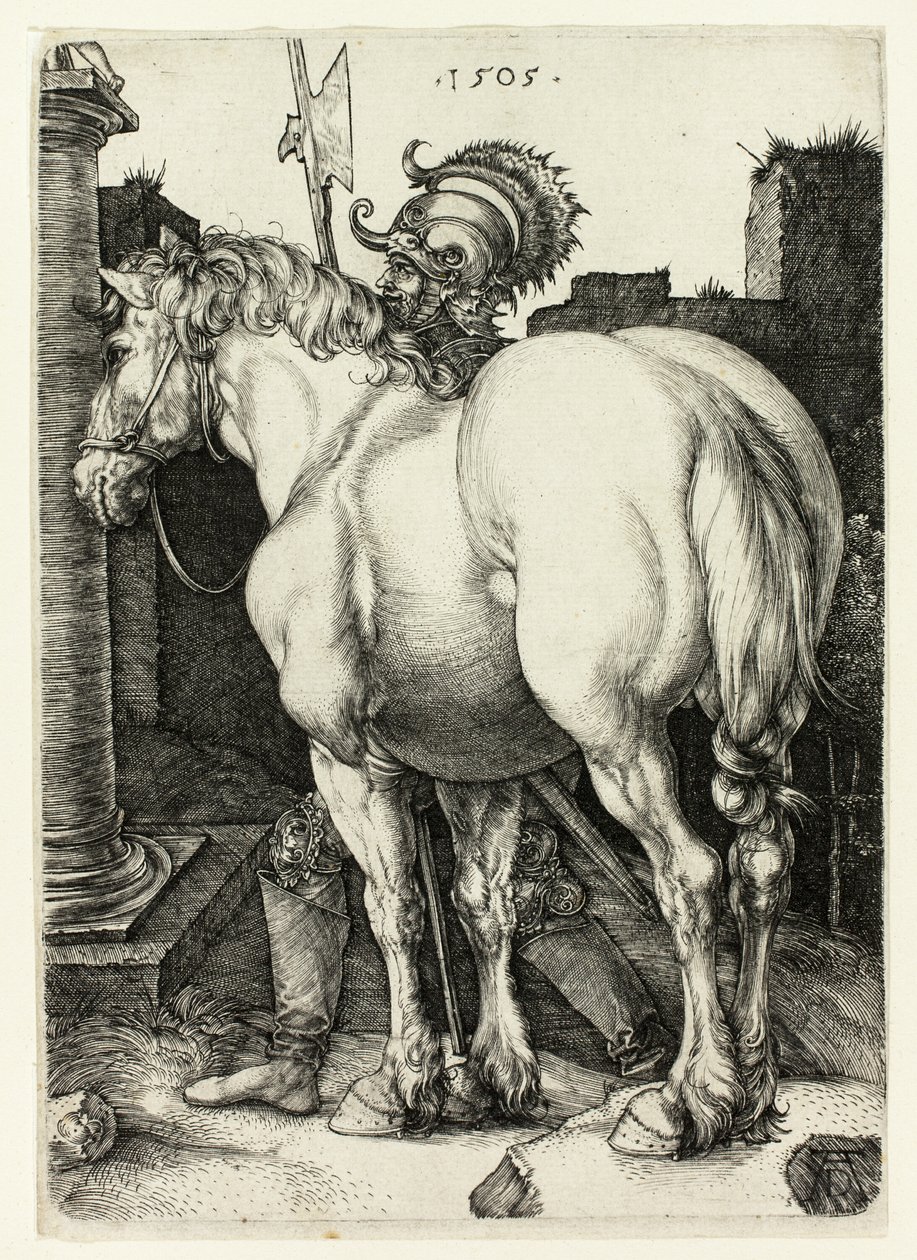 Das große Pferd von Albrecht Dürer