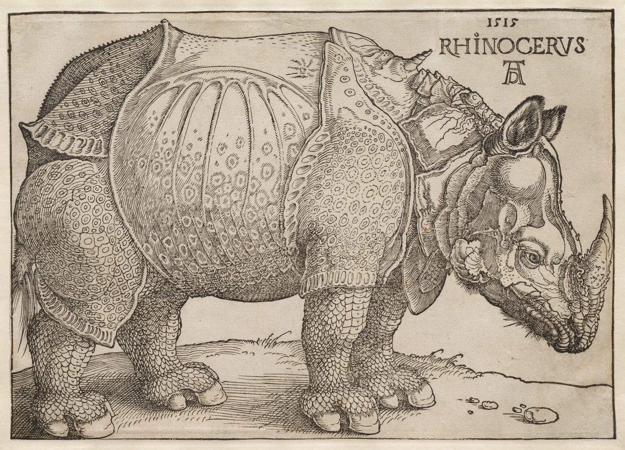 Das Nashorn von Albrecht Dürer