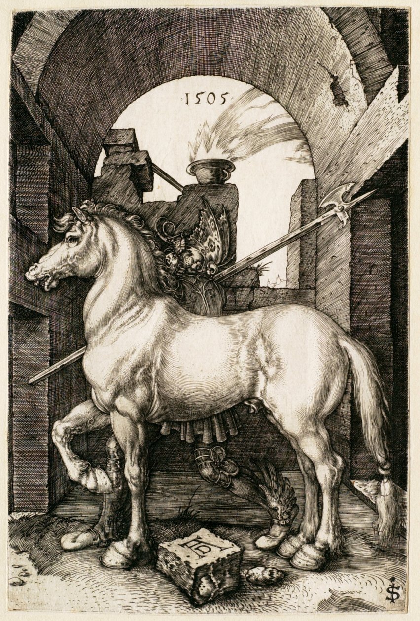 Das kleine Pferd von Albrecht Dürer