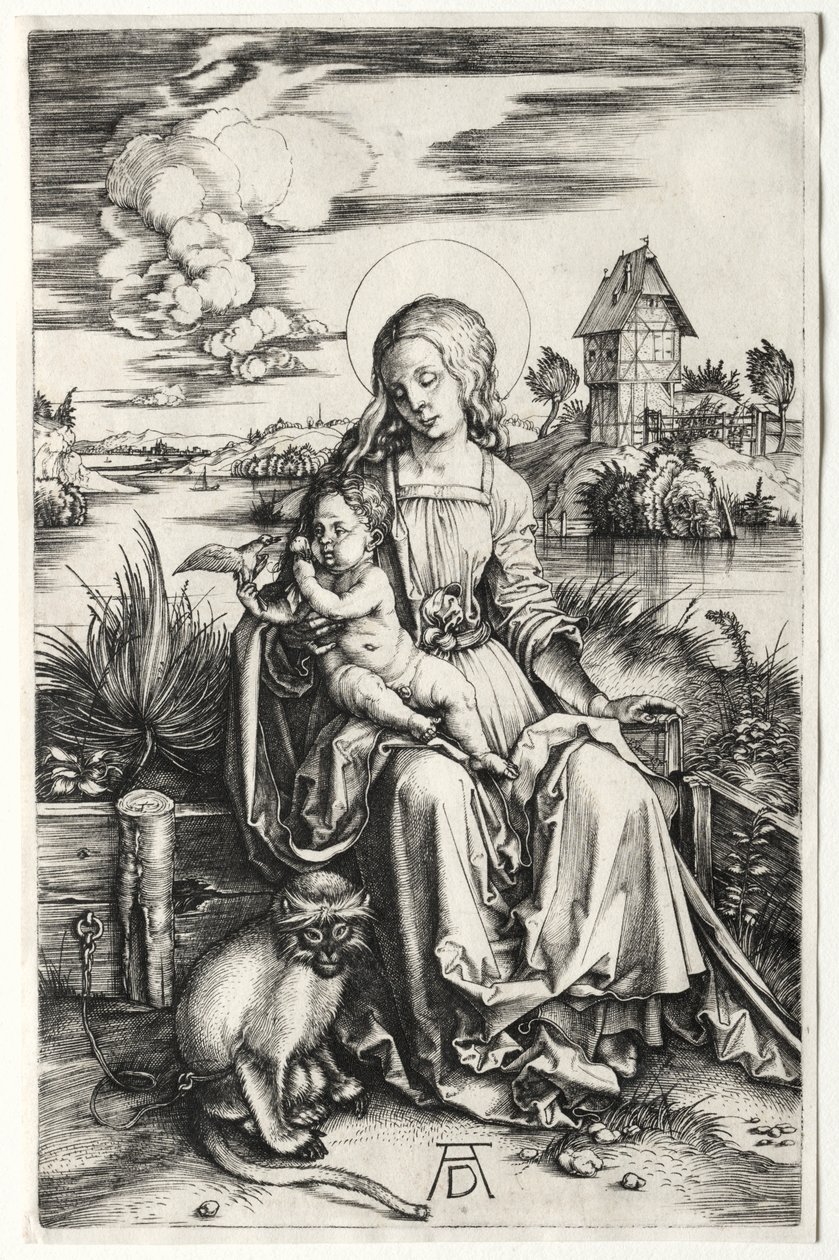 Die Jungfrau und das Kind mit einem Affen, um 1498 von Albrecht Dürer