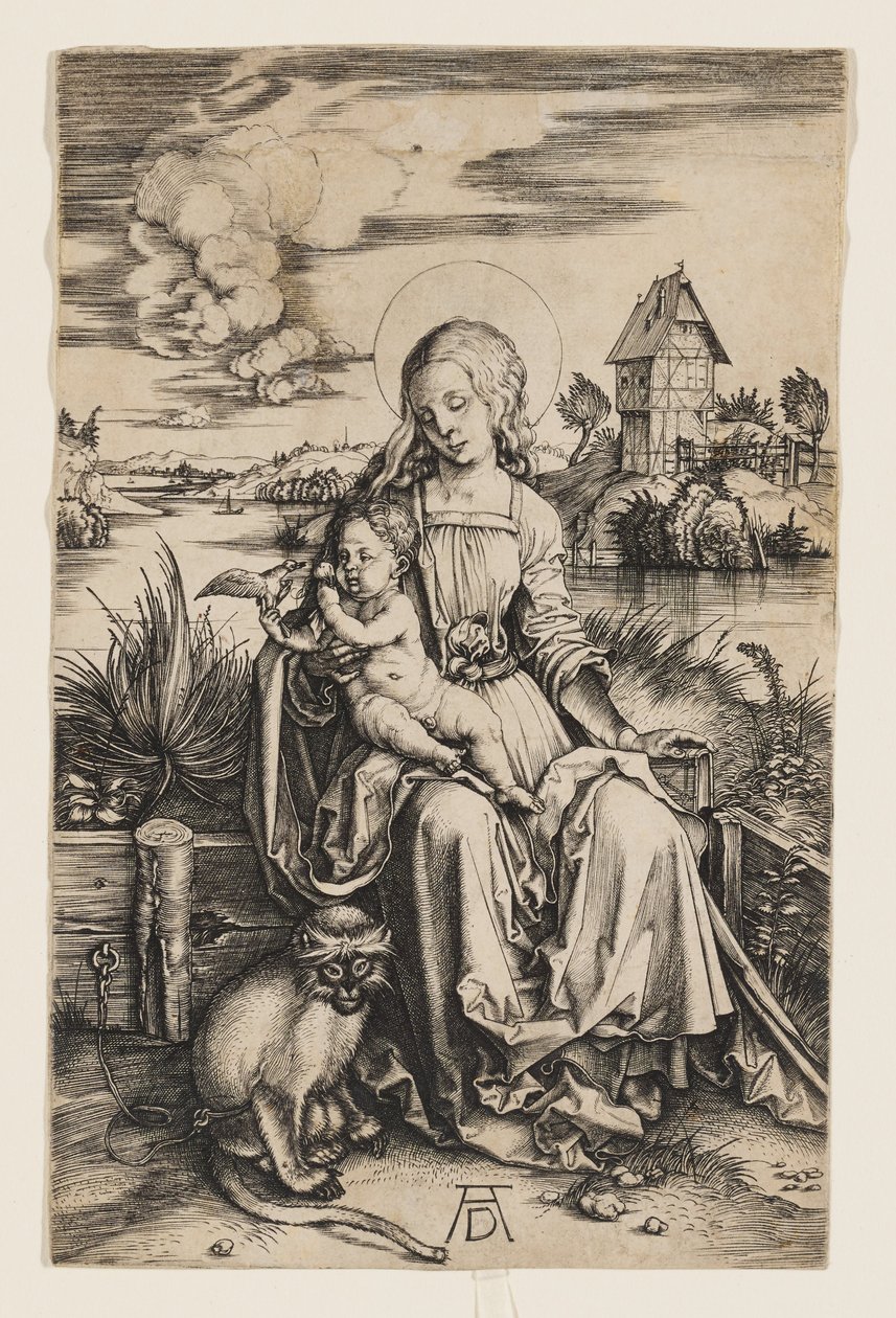Jungfrau und Kind mit dem Affen von Albrecht Dürer