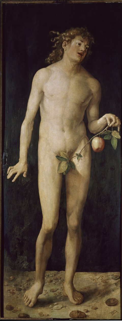 Adam von Albrecht Dürer