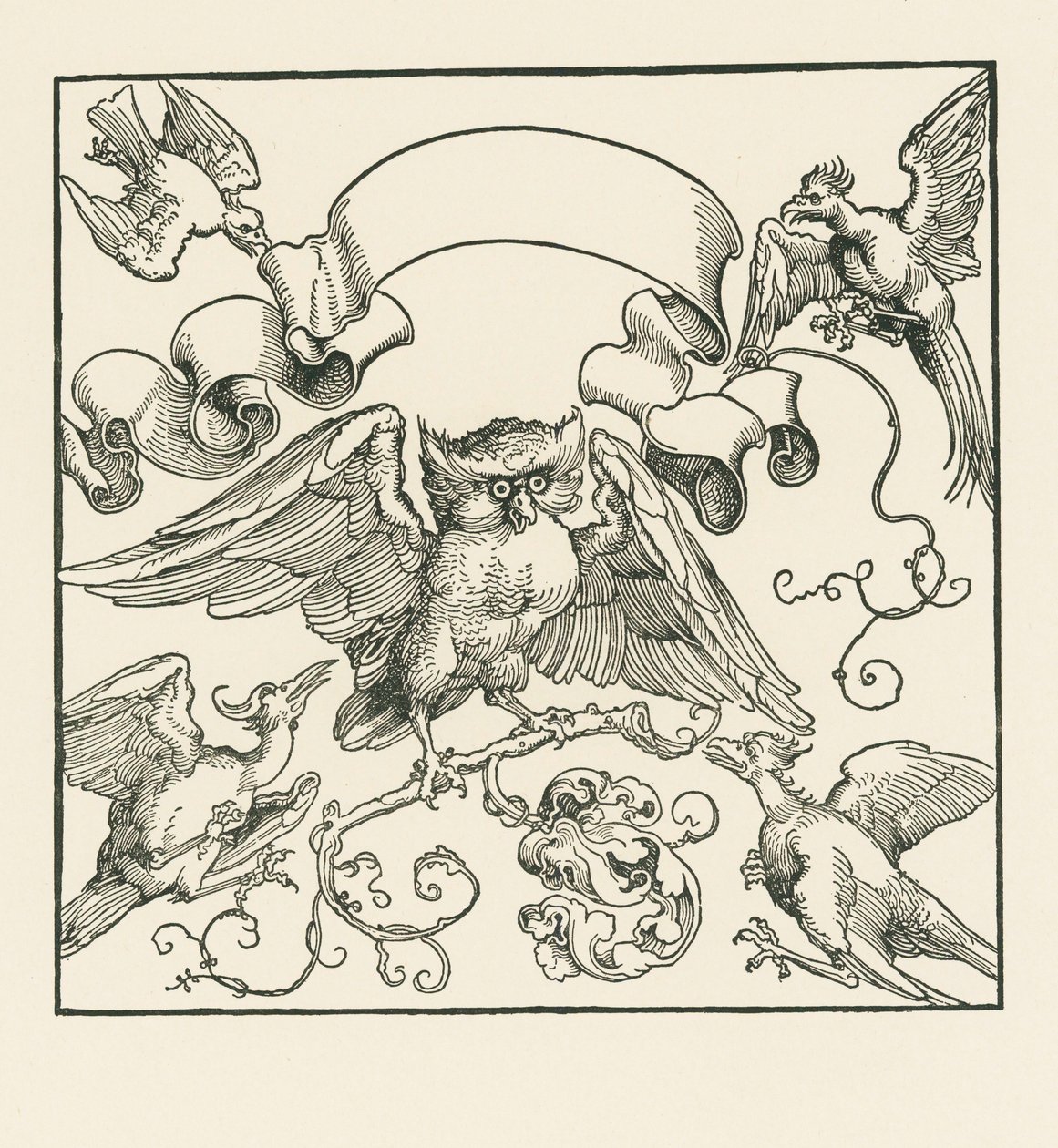 Eine Eule wird von vier anderen Vögeln angegriffen von Albrecht Dürer or Duerer