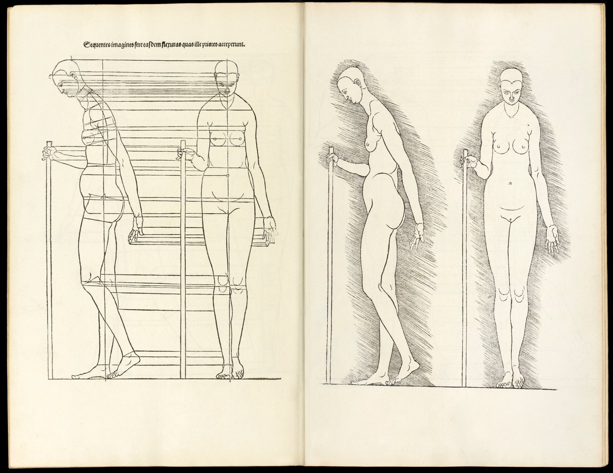 Frau mit Stab, anatomischer Holzschnitt aus Hierinn sind begriffen vier Bücher von menschlicher Proportion, 1528 von Albrecht Dürer