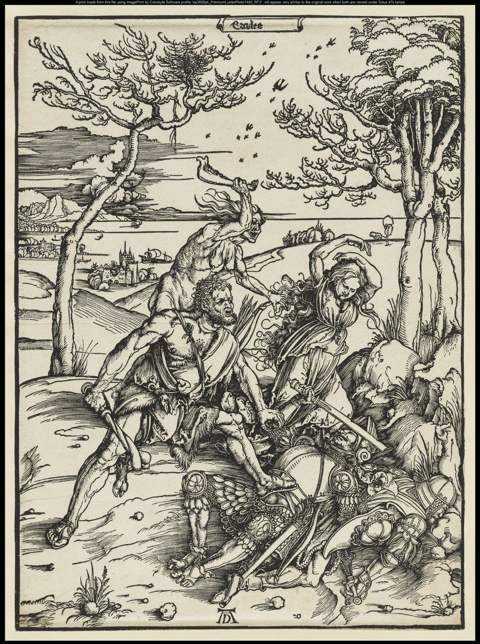 Herkules besiegt Cacus, ca. 1496 von Albrecht Dürer or Duerer