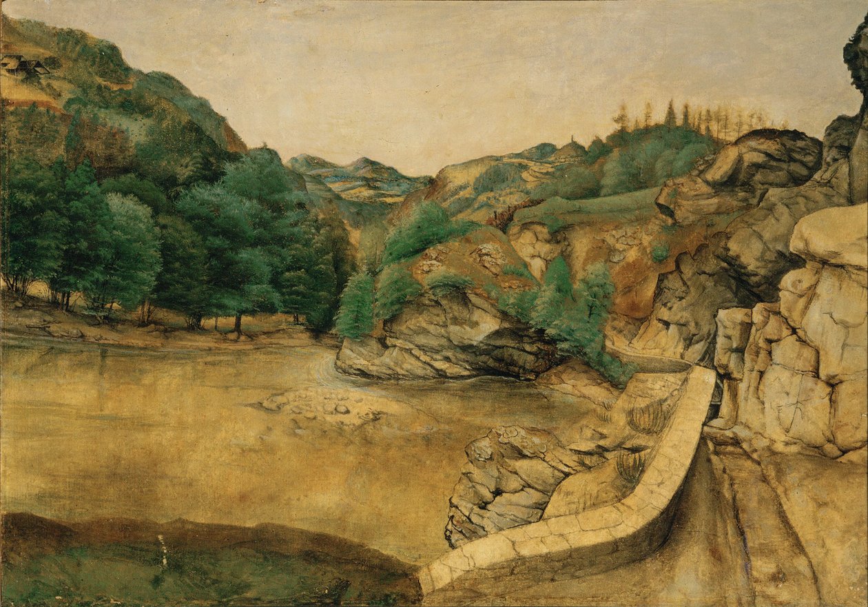 Pfad in den Alpen von Albrecht Dürer or Duerer
