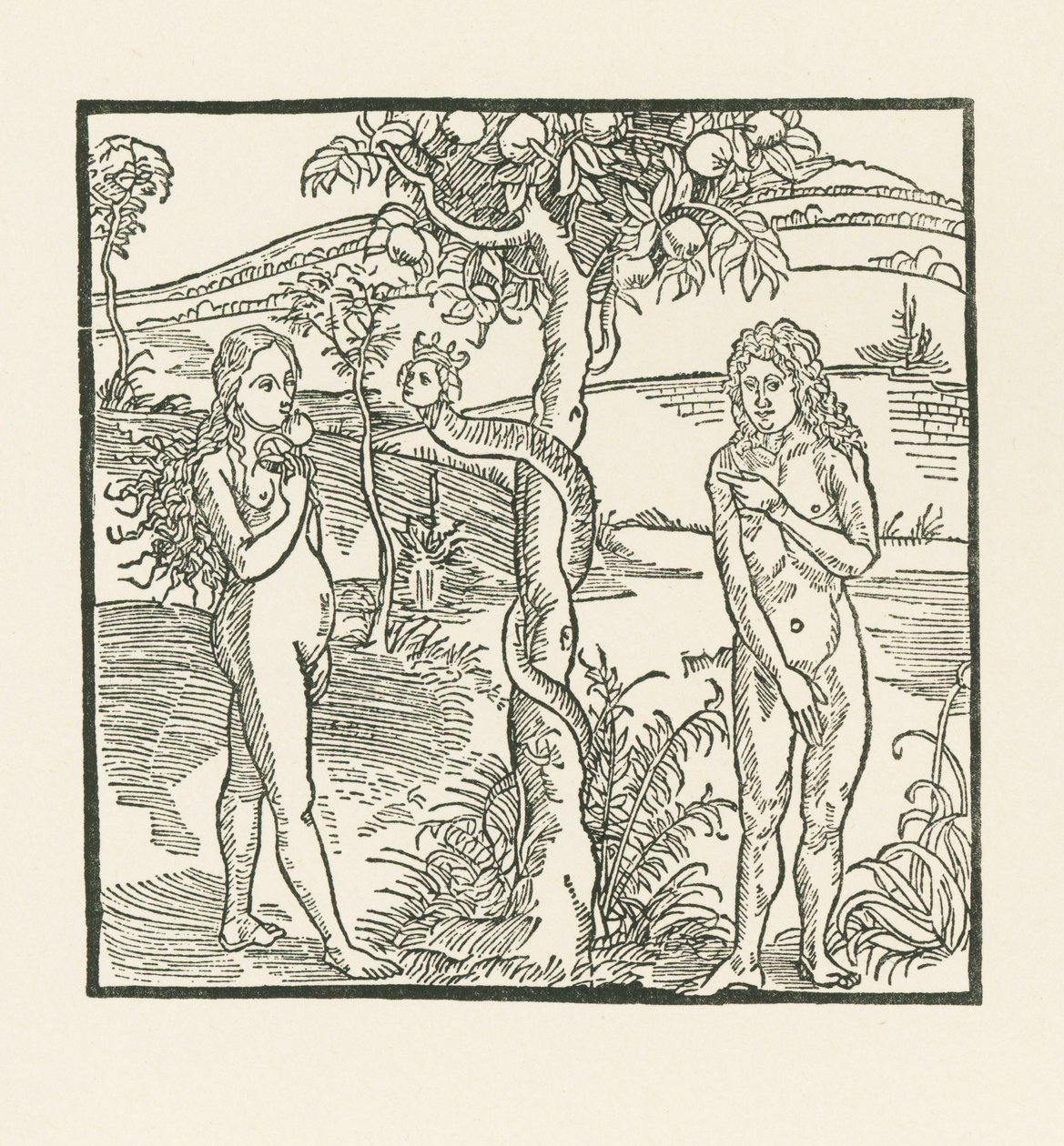 Der Fall. Illustration zu "Der Ritter von Turn", ca. 1493-93 von Albrecht Dürer or Duerer