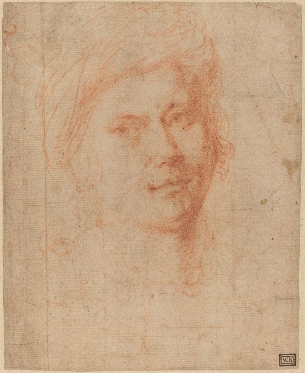 Kopf eines Jugendlichen von Alessandro Allori