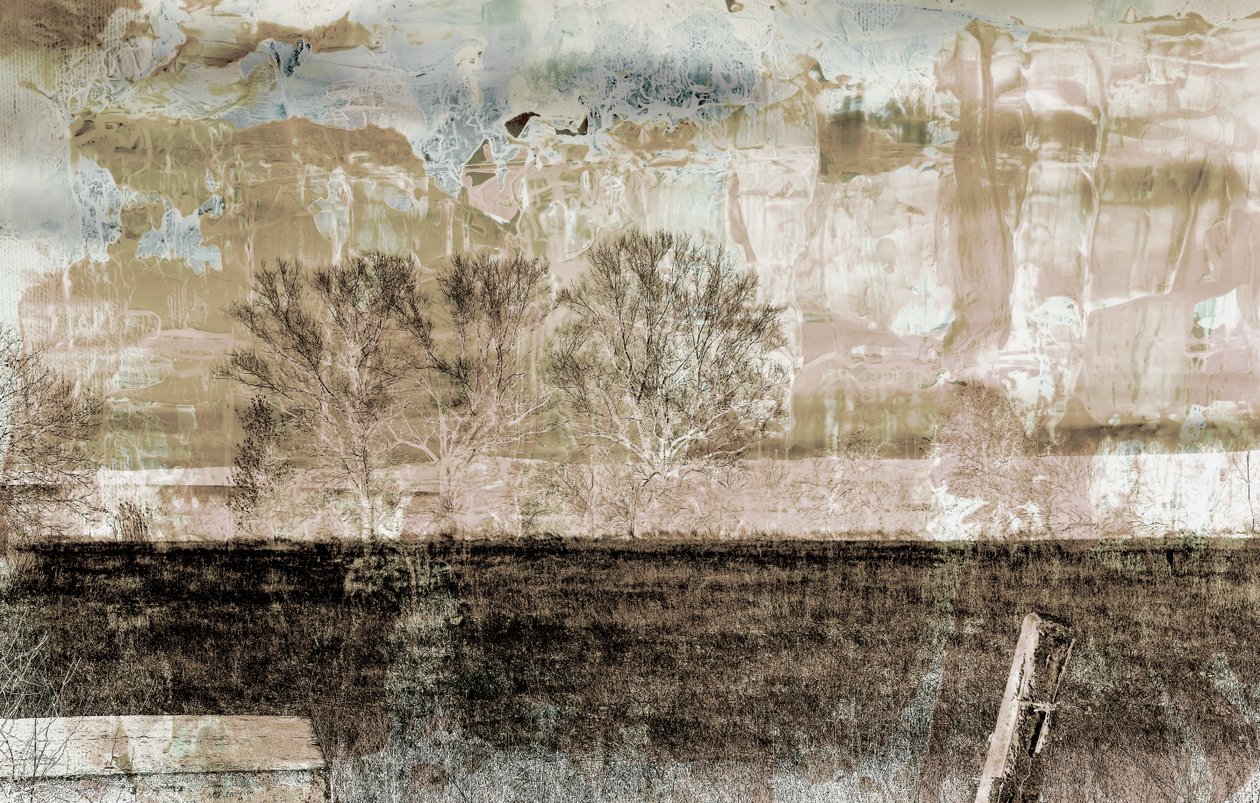 Brauner Nebel von Alex Caminker