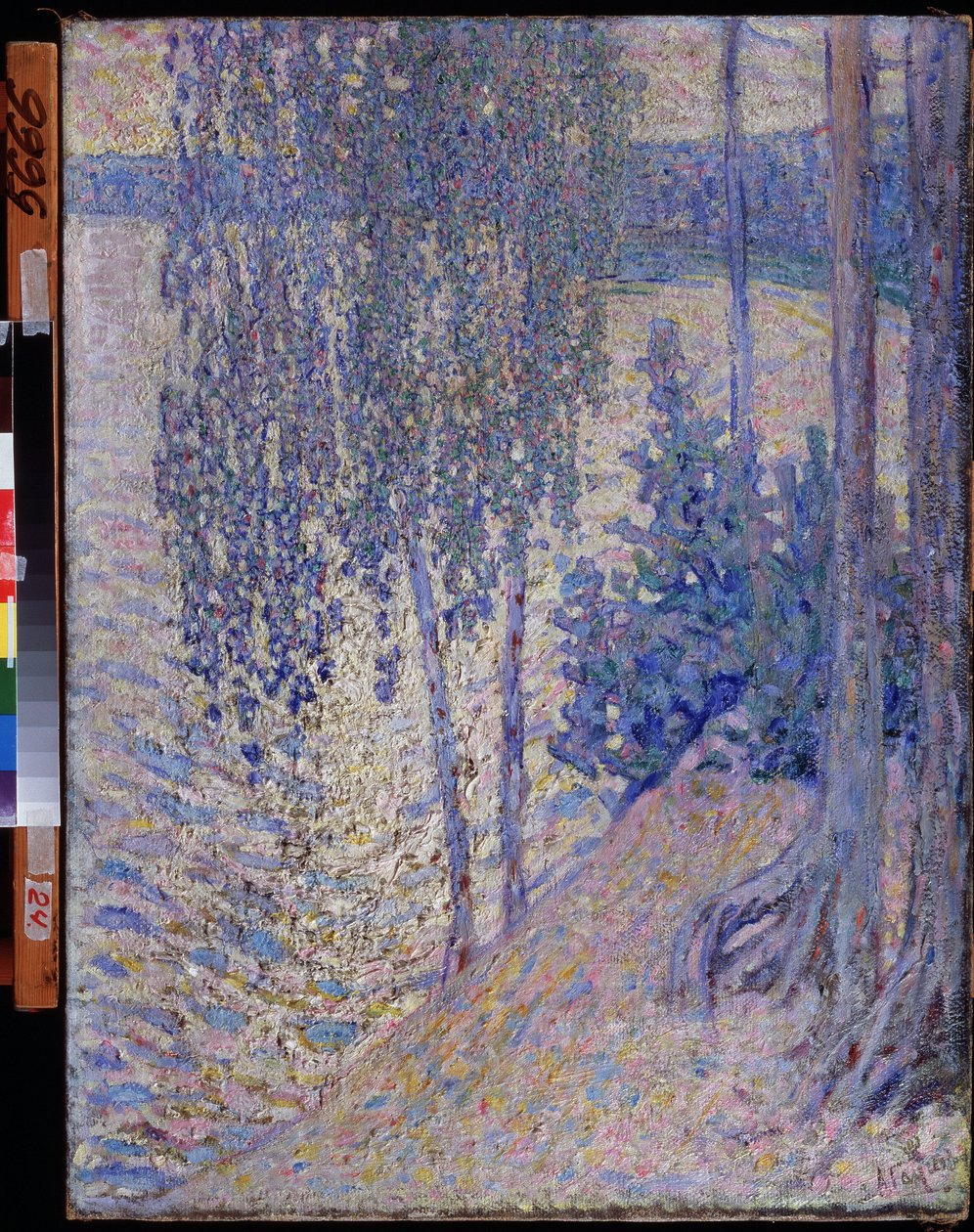 Die Birken von Alexander Gaush