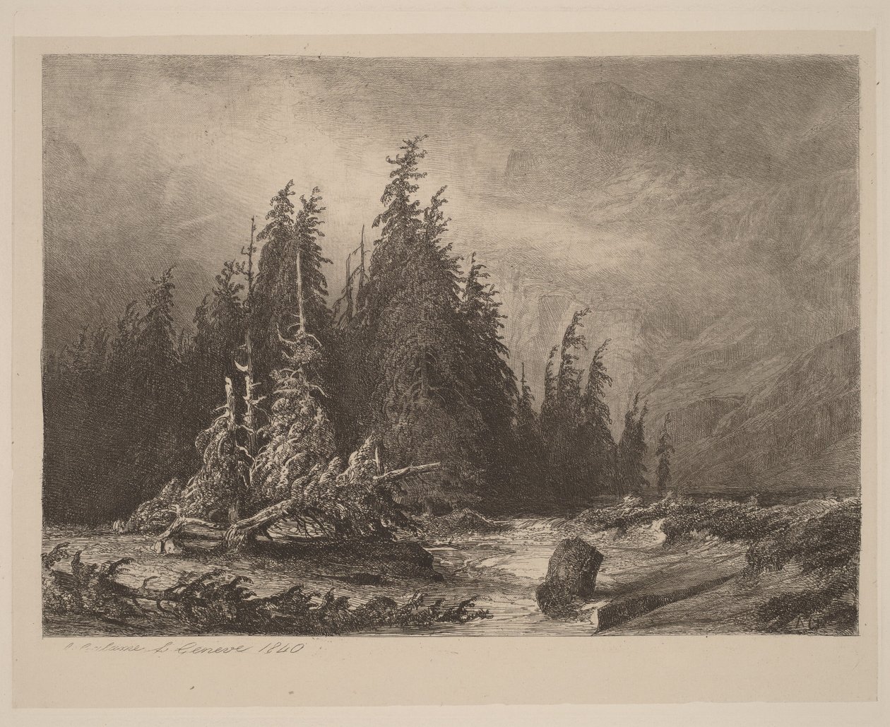 Bergkiefern von Alexandre Calame