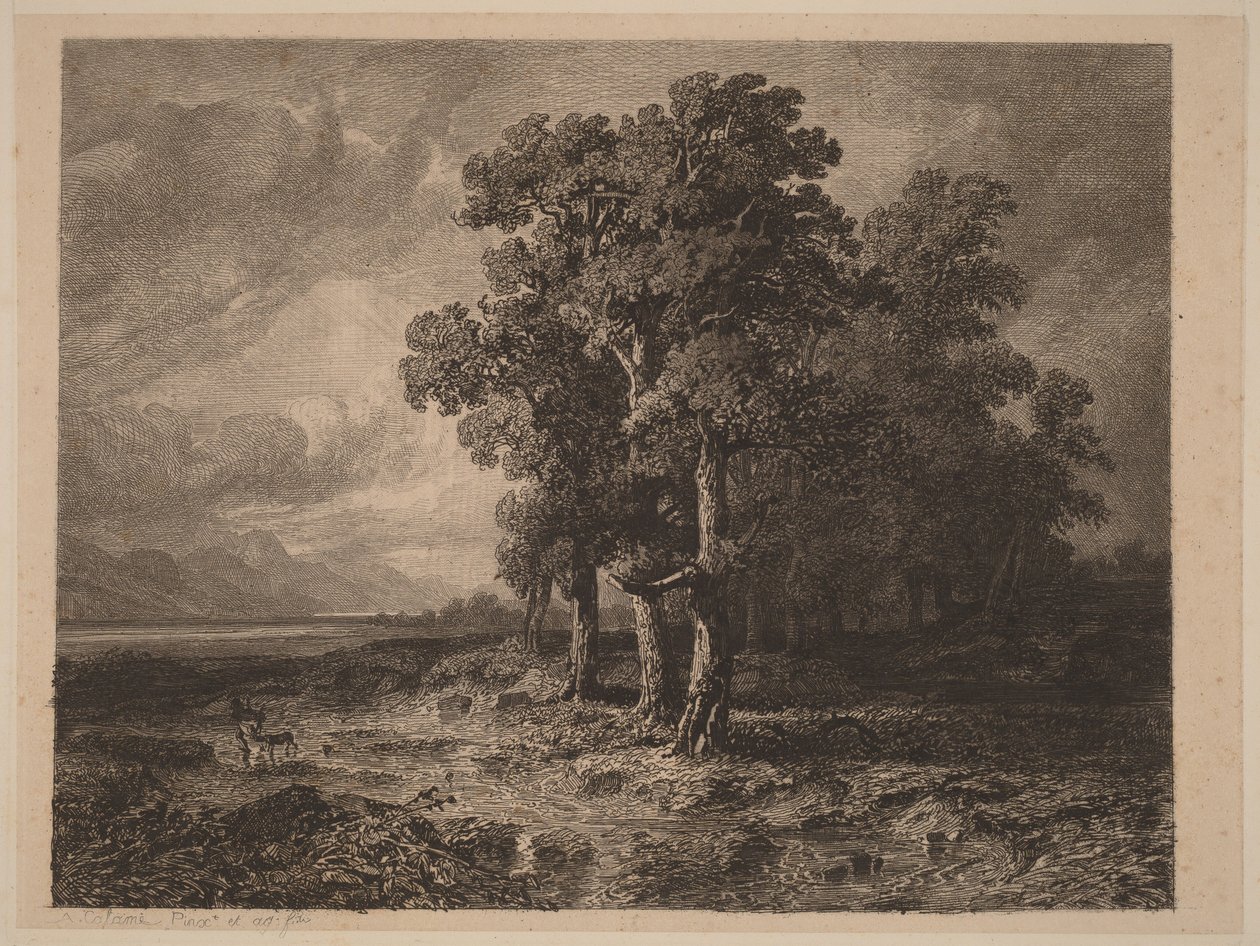 Bäume im Sturm von Alexandre Calame
