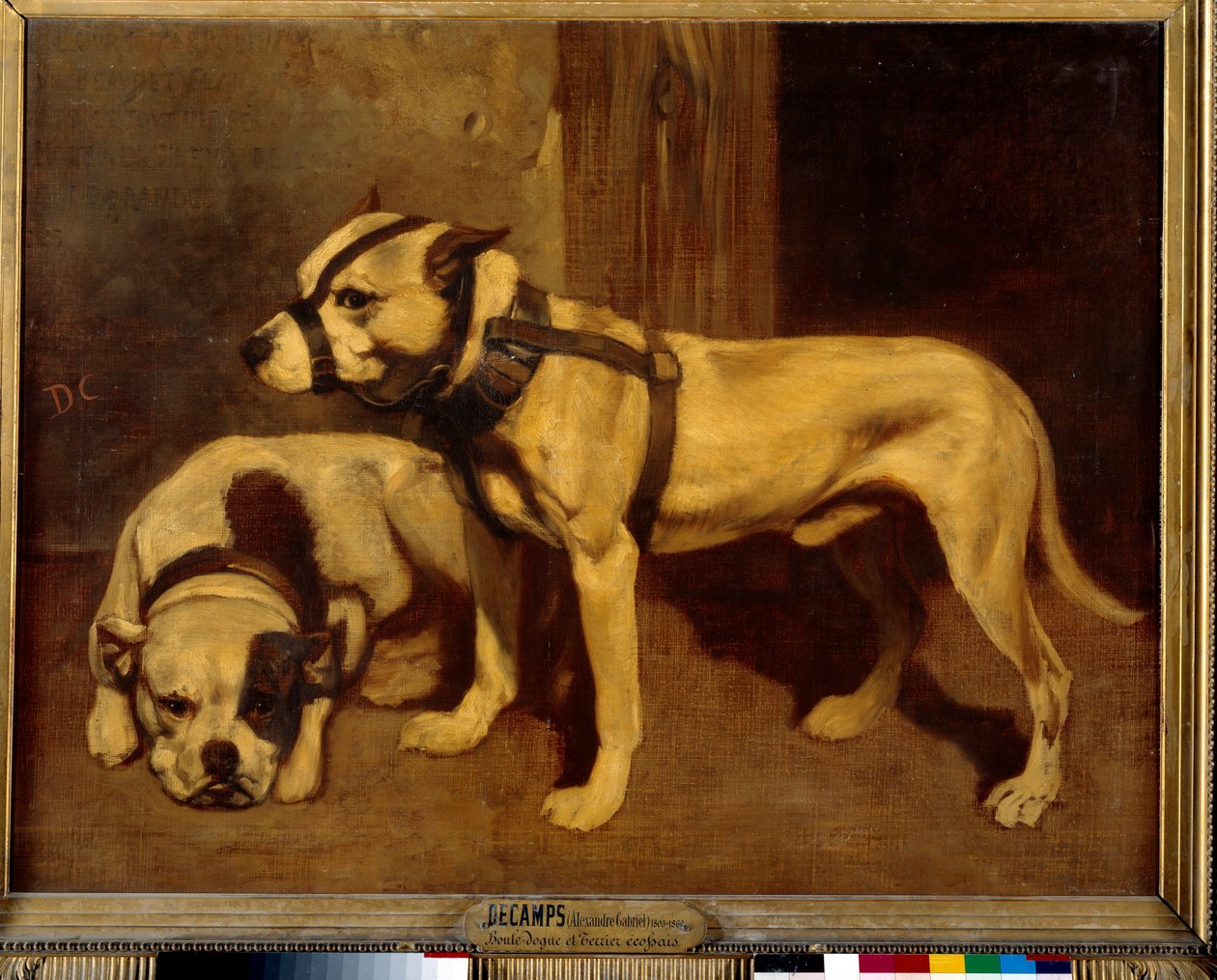 Schottischer Bulldogge und Terrier von Alexandre Gabriel Decamps