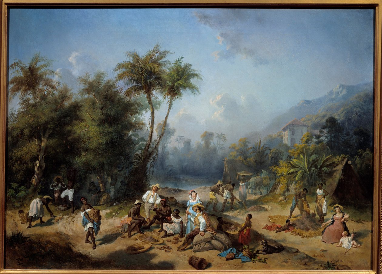 Eine Kakaoplantage in Westindien von Alexandre Solde