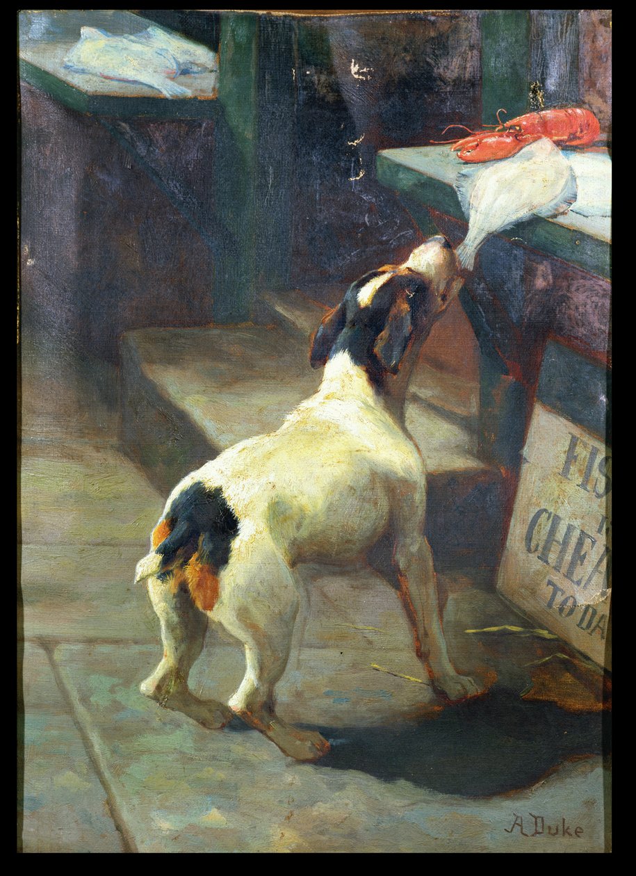 Heute ist Fisch billig von Alfred Duke